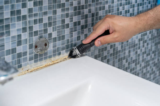Reliable Norton, OH Mold Removal Solutions